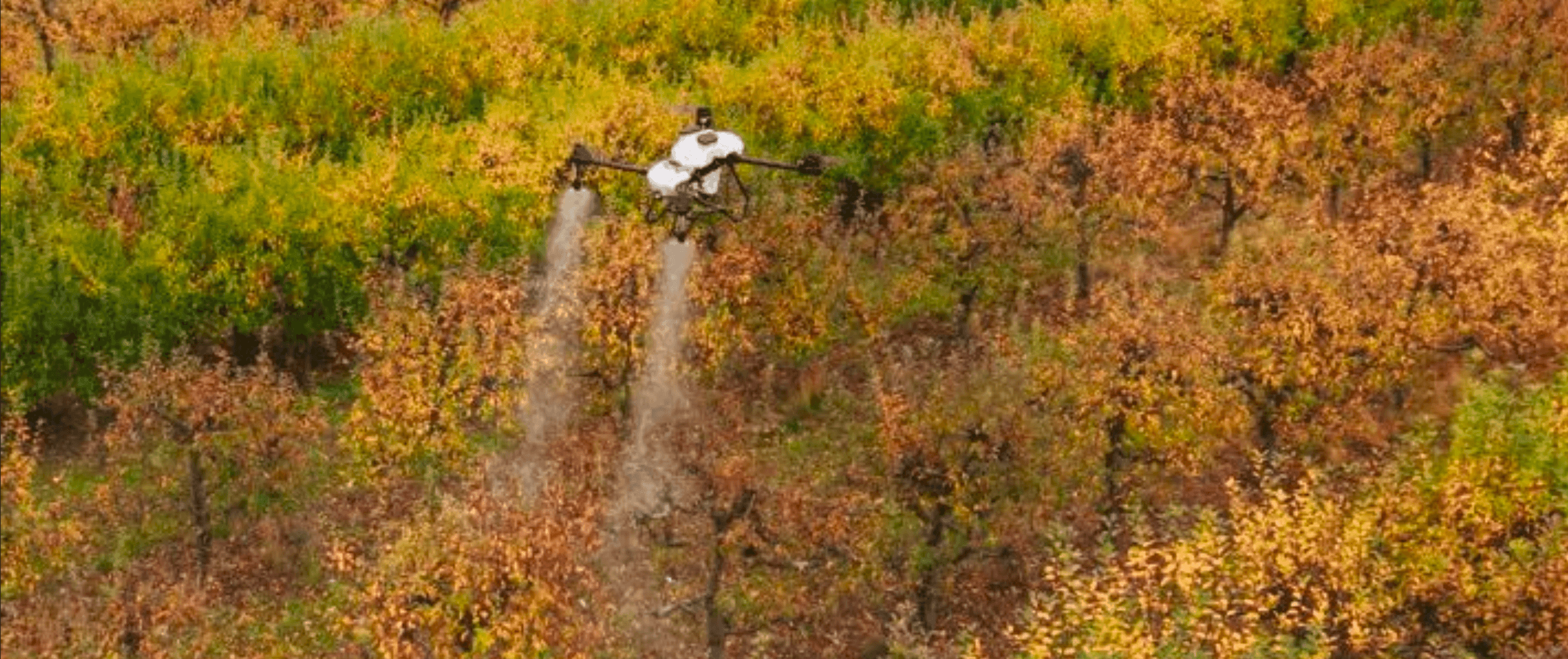 ADIS spraying drone applying treatment over an orchard